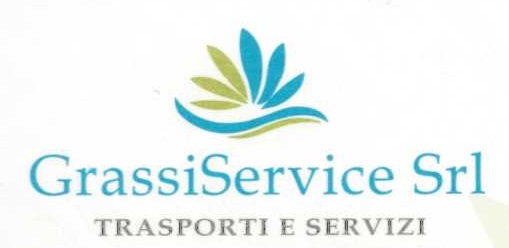 Immagine che contiene testo, Carattere, logo, Elementi grafici

Descrizione generata automaticamente